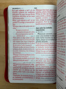 Bíblia de letra súper gigante 19 puntos riena valera  1960 rojo cierre índice