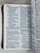 Bíblia letra súper gigante 19 puntos Reina Valera 1960 cierre marrón índice