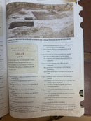 Bíblia de estudio tras las huellas del mesías reina Valera 1960 marrón con índice