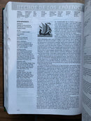 Bíblia de estudio Diario vivir letra grande 11 puntos ntv piel negro con índice