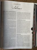 Bíblia de estudio spurgeon Reina Valera 1960 cafe semi piel cafe marron  con indice