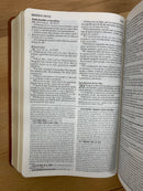 Bíblia de estudio vida plena para jóvenes riena Valera 1960 piel imitación