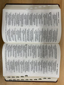 Bíblia de letra grande Ntv Tamaño manual índice sentipiel cafe claro