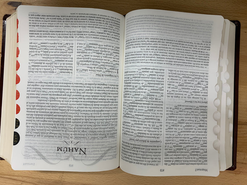 Bíblia de estudio palabra clave Reina 1960 con diccionario hebreo griego café marrón