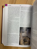 Diccionario bíblico ilustrado holman de lujo café marrón