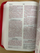 Bíblia Nvi para niñas tamaño bolsillo con cierre fuchsia nueva version internacional