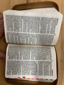 Bíblia tamaño bolsillo riena Valera 1960 Aguila café cierre índice café 8 puntos