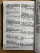 Bíblia del ministro letra gigante reina Valera 1960  piel imitacion  café letra rojas