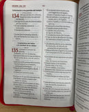 Bíblia letra gigante para mujer Riena Valera 1960 cierre fusia 14 puntos