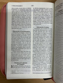 Bíblia Nvi letra grande para mujer cierre rosa y fuscia 11 puntos