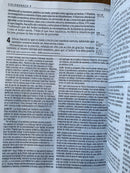 Bíblia de estudio diario vivir letra grande 11 puntos riena Valera 1960 con indice negro