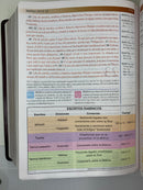 Bíblia de estudio del mundo hispano Piel europea café