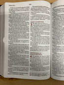 Bíblia del ministro letra gigante reina Valera 1960  piel imitacion  café letra rojas