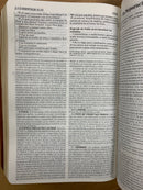 Bíblia de estudio vida plena para jóvenes riena Valera 1960 piel imitación