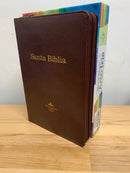 Bíblia de estudio arcoíris Reina Valera 1960 chocolate cierre índice semipiel