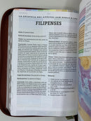 Bíblia de estudio arcoíris pastoral reina valera 1960 cierre piel  café bolsillo lupa indice