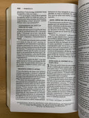 Bíblia del ministro letra gigante Nbla nueva Bíblia de las Americas comfort print12 puntos