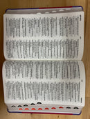 Bíblia para mujer letra grande 12 puntos rv1960 índice biótono morada índice