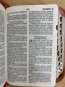 Bíblia tamaño bolsillo rosado reina Valera 1960 con índice cremallera