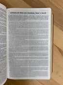 Bíblia de estudio vida plena para jóvenes riena Valera 1960 piel imitación