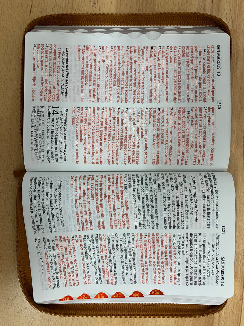Bíblia de letra gigante para hombres reina Valera 1960 cafe cierre 14 puntos  índice