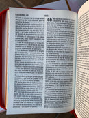 Bíblia para niñas mi gran viaje letra grande Reina Valera 1960 marada con cierre