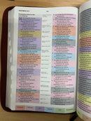 Bíblia de estudio arcoíris simipiel café reina 1960 con índice