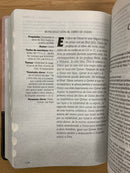 Bíblia letra grande Ntv edición  Tamaño personal sentipiel rosa índice