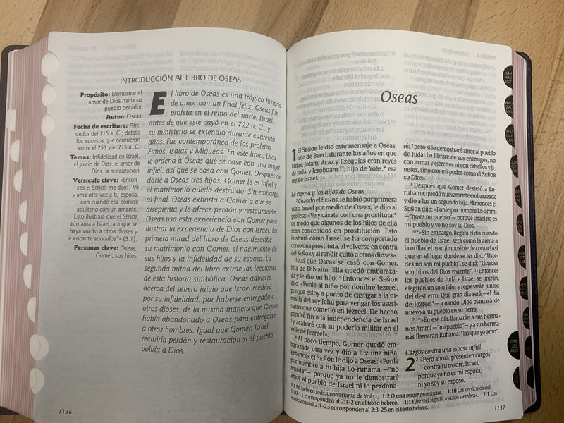 Bíblia de letra gigante Ntv edición clásica sentipiel azul con índice