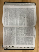 Bíblia de estudio vida plenareina valera 1960 imitation piel con índice