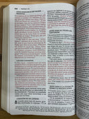 Nueva Bíblia de las Americas letra súper gigante 14 puntos imitación piel Nbla