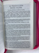 Bíblia para mujer letra grande reina Valera 2020 fuxcia cierre 12 puntos