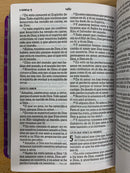 Bíblia de letra grande tamaño manual riena Valera 1960 violeta semipiel