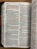 Bíblia de letra grande reina valera 1960 tamaño personal cierre índice