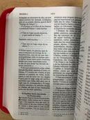 Bíblia Nvi para niñas tamaño bolsillo con cierre fuchsia nueva version internacional