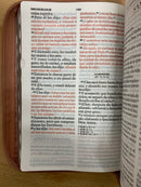 Bíblia para Mujer letra gigante 14 puntos Reina valera  1960 mariposa/cafe cierre índice