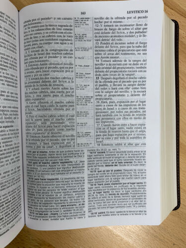 La Biblia de Las Américas - Biblia de Estudio  LBLA PIEL IMITACION CAFE