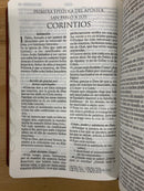 Biblia Letra Grande RV1960 imit. piel café con índice 12 puntos