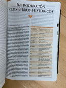 Biblia de Estudio Teologico RVR1960 PIEL GENUINA NEGRO CON INDICE